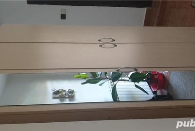 Casă cu 5 camere cu Teren 6000 Mp în Topraisar - 5