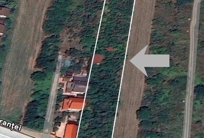 Teren de 5014 mp, în Afumați - 4