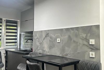 Apartament cu 2 camere semidecomandat în Nufărul - 4