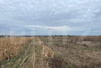 Teren extravilan de 2539 mp in Dudovicesti - 5