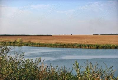 Teren de 75500 mp, în Central