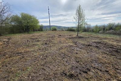 Teren de 6704 mp, în Bârsău - 26