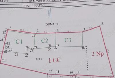 Casă cu Teren 1300 Mp în Silvașu de Sus - 3