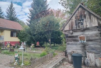 OCAZIE!!! CASA SUPERBA cu teren in JULITA jud Arad in M tii Zarandului - 21