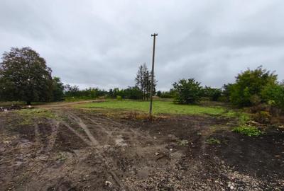 Hala + teren 8000mp de inchiriat, zona Manastioara, Siret Hala + teren 8000mp de inchiriat, zona Manastioara, Siret - 7