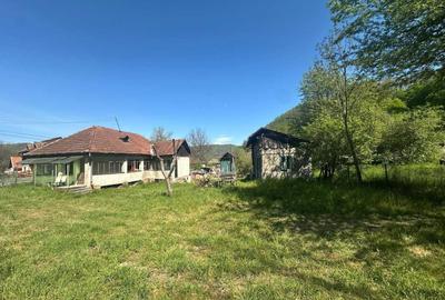 Casă cu 4 camere în Zdrapți - 4