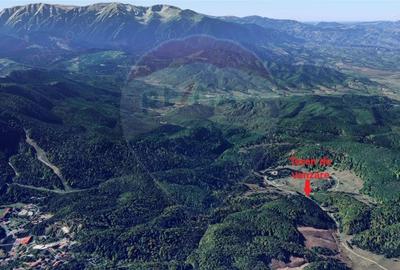 Teren de 1000 mp, în Poiana Brașov - 2