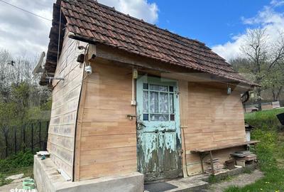 Casă cu 4 camere cu Teren 12186 Mp în Boiu - 10