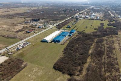 Teren agricol extravilan de 7194 mp, în Păltiniș - 10