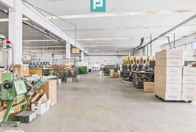 Spațiu comercial, de 3,200 mp, în Pleșcuța - 19