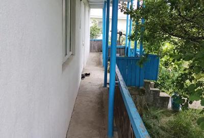 Vand casa cu teren de 2000mp in Bogdanesti - 4