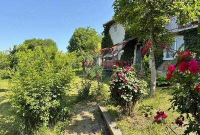 Casă cu 5 camere cu Teren 741 Mp în Mediaș - 15