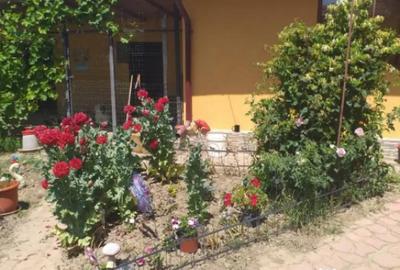 Casă cu 3 camere cu Teren 300 Mp în Horia - 6