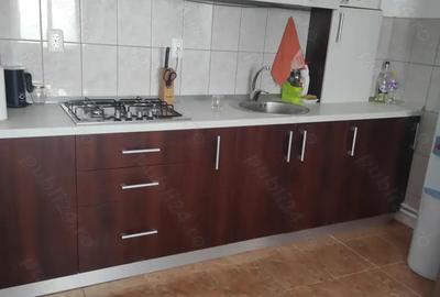 Casa P+M,zona A.Vlaicu - 16