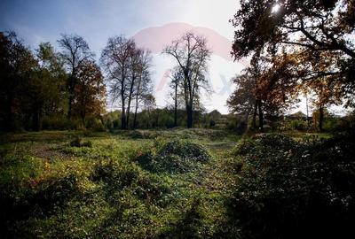 Domeniu Baronial de vanzare in localitatea CIL , Judet Arad - 7