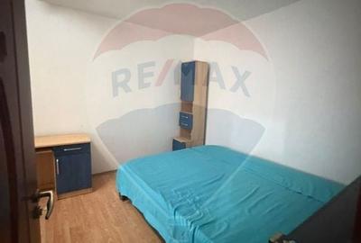 Garsonieră decomandata Valea Roșie - 4