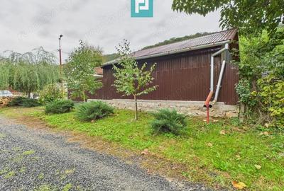 Casu?a de vacan?a pentru pescari in Lipova - 3