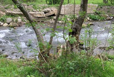 Teren de 1200 mp, în Lisa - 1