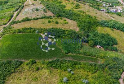 Teren Construcții intravilan de 10000 mp, în Rediu Aldei - 6