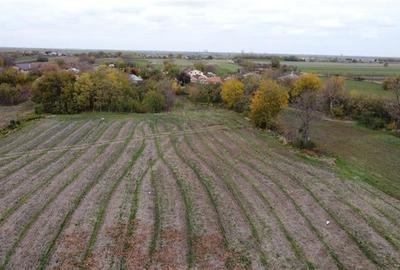 Casa de vanzare - Celaru, Dolj - 11