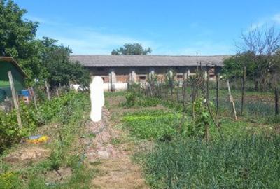 Casa batraneasca nelocuibila cu teren 730mp Olari, Prahova - 1