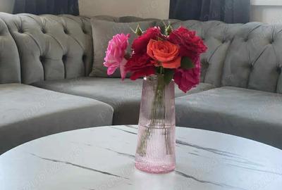 Casa noua de vanzare - 6