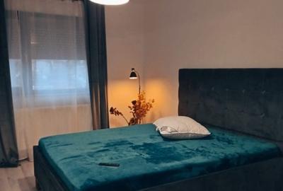 Apartament cu 2 camere decomandat, mobilat în Nord - 12