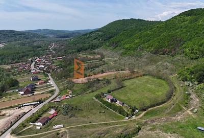 Teren intravilan zona Gura Bascei, com. Cislau - 5