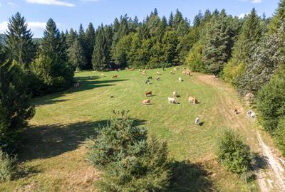 Investitie premium in turism-teren 6800mp langa lacuri Vulcan Brasov - 6