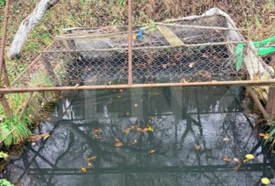 Casă cu 7 camere cu Canalizare în Tohanu Vechi - 6