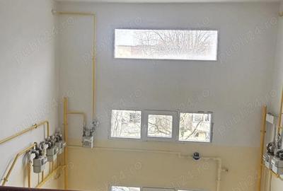 Apartament cu 2 camere semidecomandat în Brazda lui Novac - 4