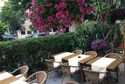 Zona Pta Victoriei, Hotel 4 stele, cu restaurant si crama - 18
