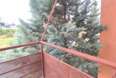 Casa de vanzare - 43