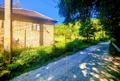 CASA si 2393 mp TEREN INTRAVILAN, Muntii Apuseni, NEGRENI - CLUJ la 1 km de E60 - 31