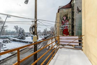 Vila individuala de exceptie Praporgescu Malul Mureșului - 8