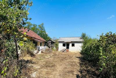 Gospodarie in Jud. Valcea, com. Pe?ceana, sat Ursoaia, 2 case ?i anexe - 2