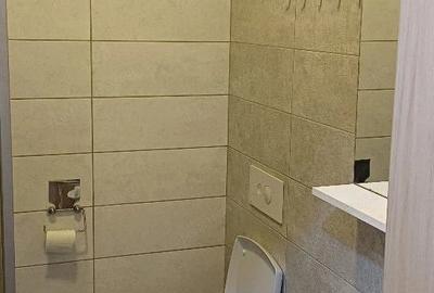 Garsonieră în Dristor