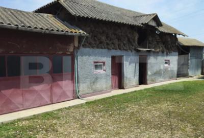 Casă cu 5 camere cu Teren 1400 Mp în Central