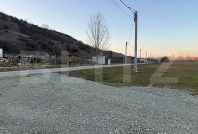 Teren de 4307 mp, în Podari - 3