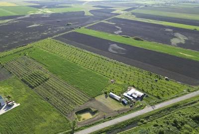 Livada de nuci ?i pruni 2.4ha in Varia?ul Mare - 16