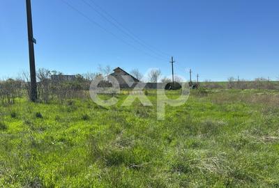 Teren agricol extravilan de 500 mp, în Eforie Sud - 3