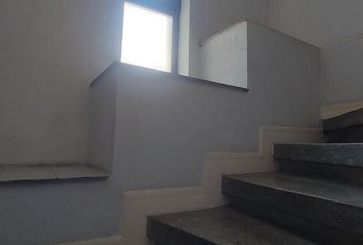 TINERETULUI SINCAI, vanzare 3 camere, parter vila, amenajate LUX - 18
