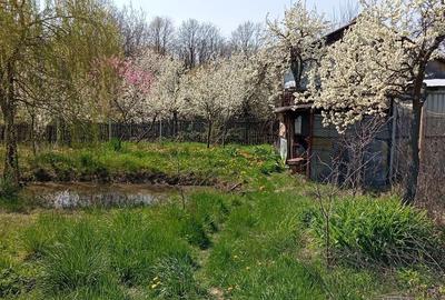 Casă cu 3 camere în Crucișoara - 7