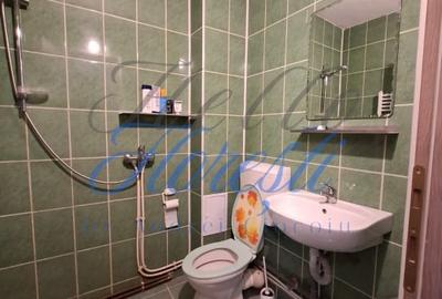 Apartament cu 1 camere, in zona Baciu - 5
