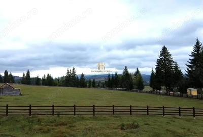 Teren de 16813 mp, în Fundu Moldovei - 17