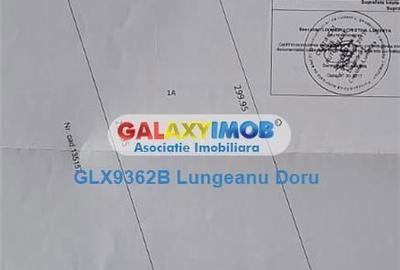 Spațiu comercial, în Vest - 6