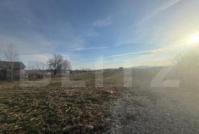 Teren intravilan Alparea Teren intravilan Alparea - 2