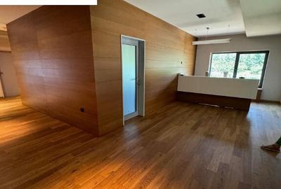 Ansamblu de hale, zona ie?ire spre Izvoare. Pre? 5 Eur/mp - 16