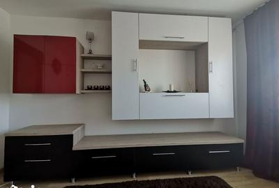 Apartament cu 2 camere decomandat în Frumoasa - 6