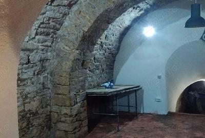 Spațiu comercial, de 45 mp, în Gară - 8